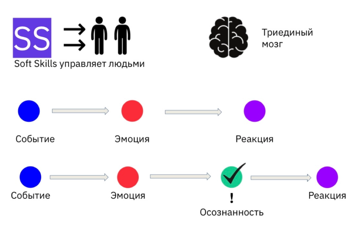 Soft skills или «мягкие навыки» для продакта и жизни | Сетка — новая социальная сеть от hh.ru