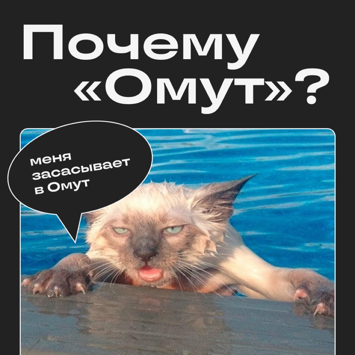 Потому что это бездна диджитала, где вы сможете утопить свои невзгоды. Сильно завернули? Нам тоже нравится | Сетка — новая социальная сеть от hh.ru