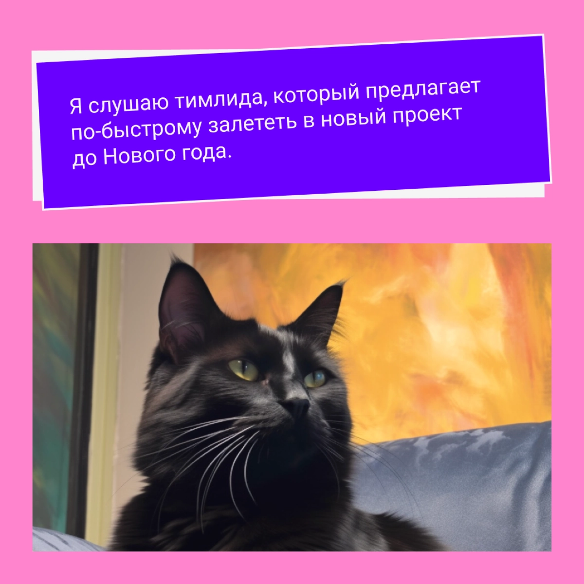 Британские ученые выяснили, что пять минут просмотра мемов в день продлевают жизнь, улучшают карму и чистят ауру | Сетка — новая социальная сеть от hh.ru