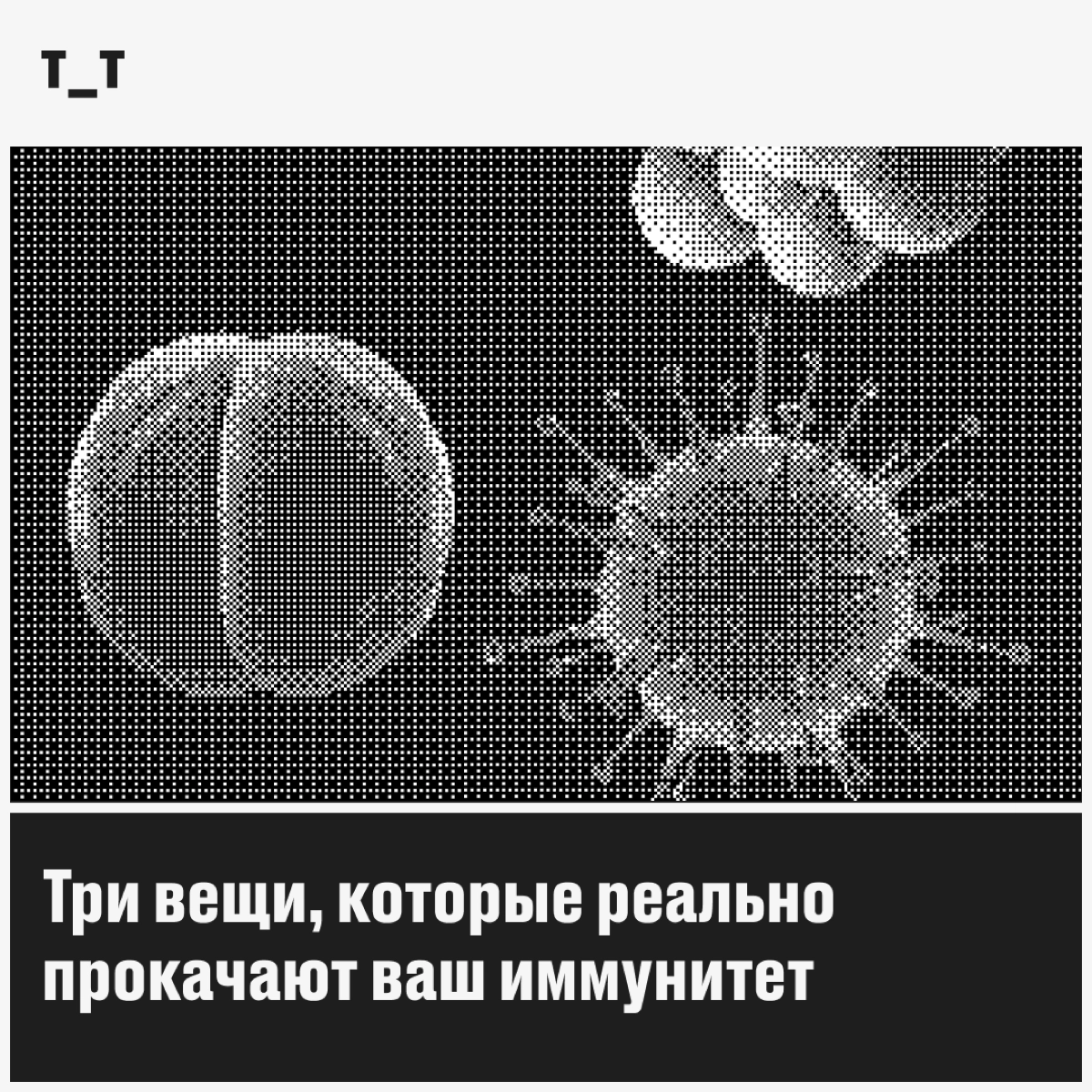 Интересный факт: если вы живы, у вас нормальный иммунитет. Смело откладывайте шот из аскорбинки и уверенно скажите «нет» фармацевту с пузырьком эхинацеи в руках | Сетка — новая социальная сеть от hh.ru