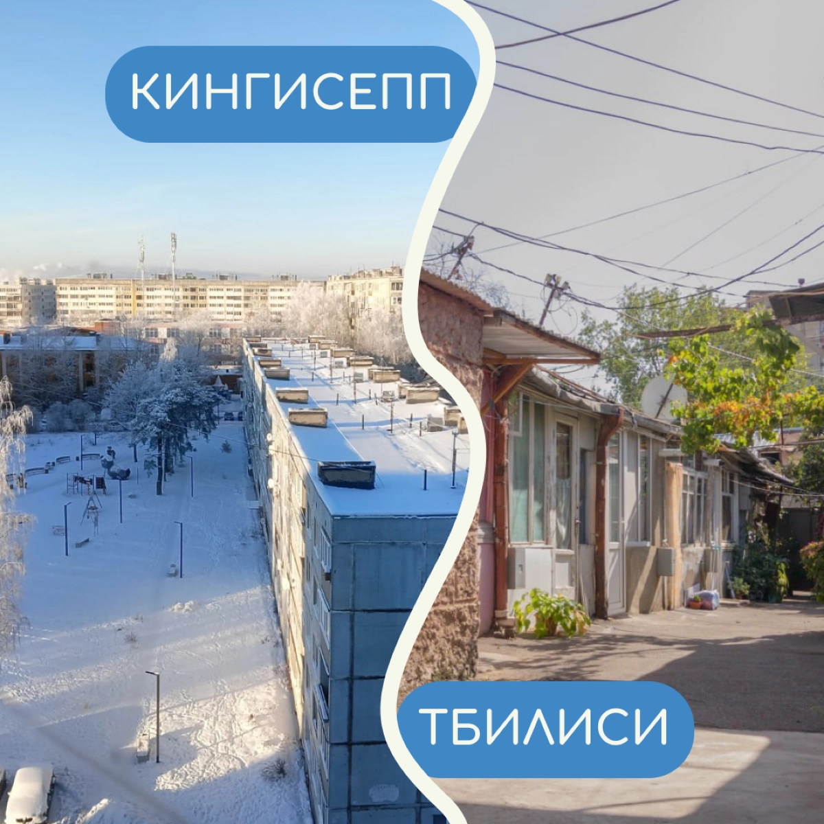 В релокации бывает сложно привыкнуть ко многим вещам — особенно к тому, как меняется вид из окна. Собрали в карточки фото дворов от релокантов из разных уголков мира | Сетка — новая социальная сеть от hh.ru