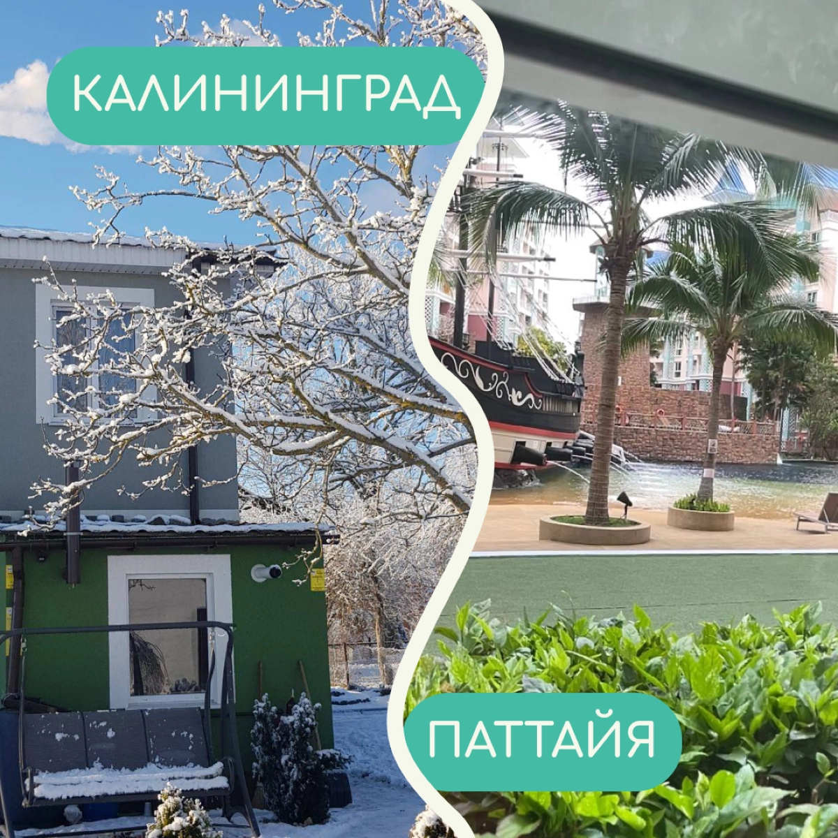 В релокации бывает сложно привыкнуть ко многим вещам — особенно к тому, как меняется вид из окна. Собрали в карточки фото дворов от релокантов из разных уголков мира | Сетка — новая социальная сеть от hh.ru