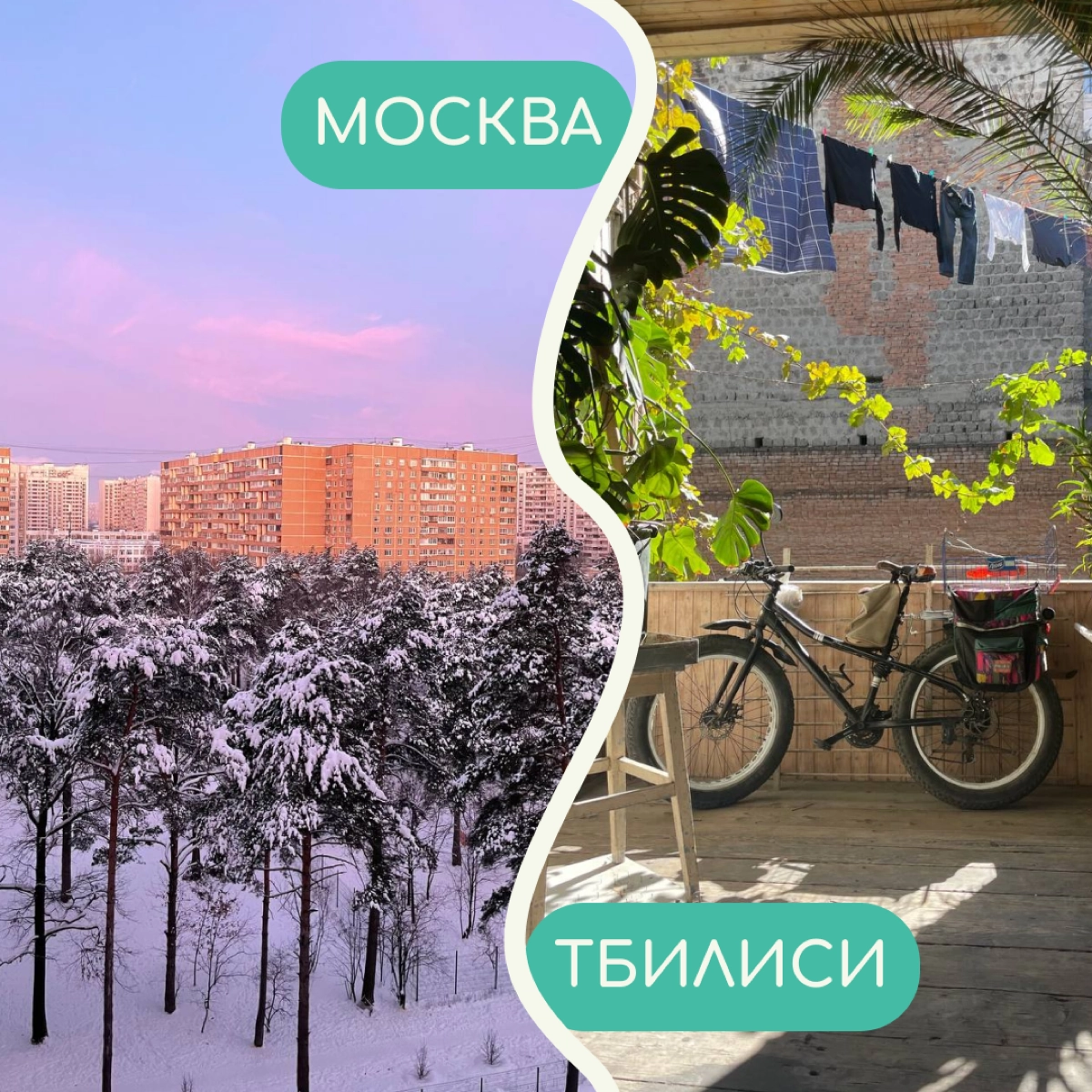 В релокации бывает сложно привыкнуть ко многим вещам — особенно к тому, как меняется вид из окна. Собрали в карточки фото дворов от релокантов из разных уголков мира | Сетка — новая социальная сеть от hh.ru