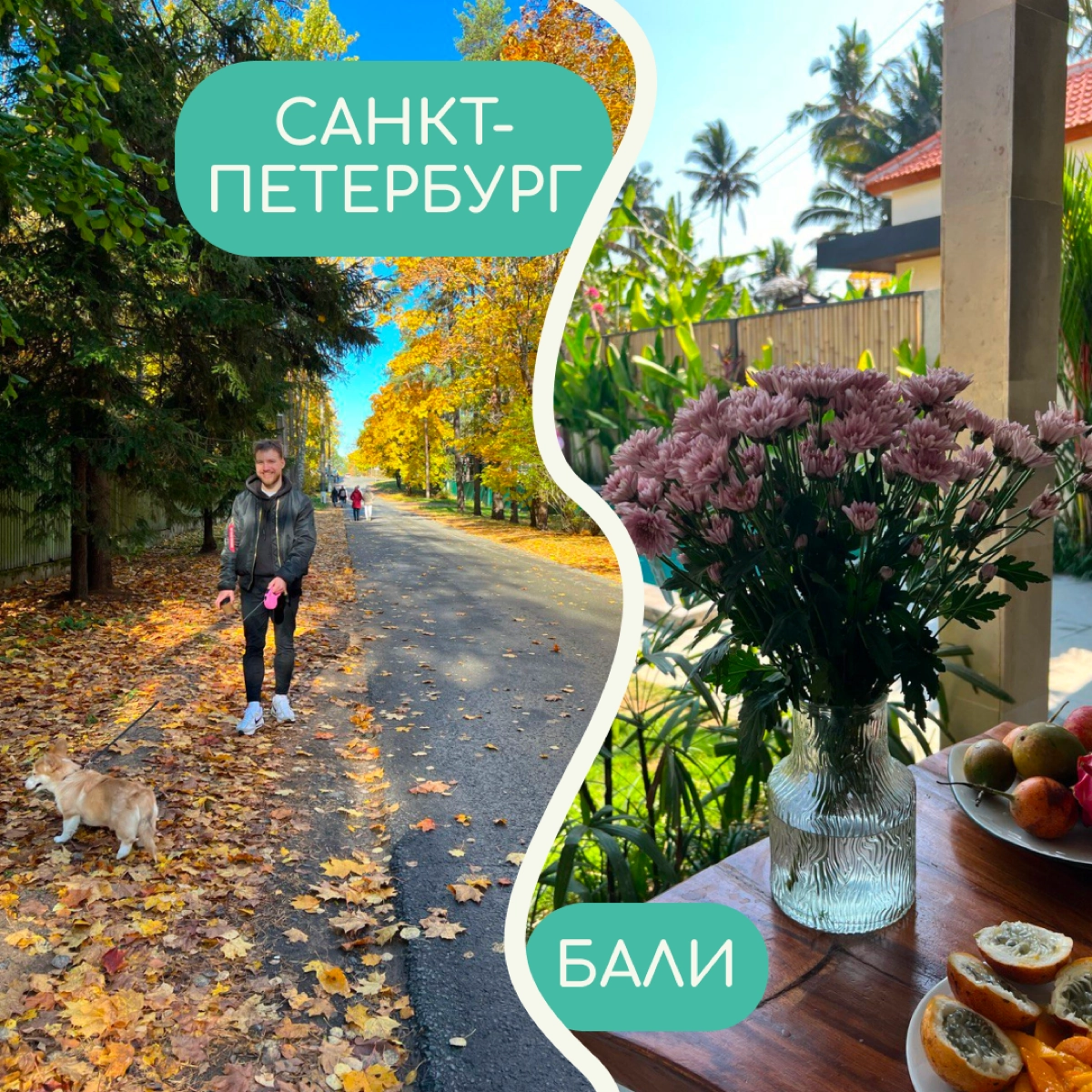В релокации бывает сложно привыкнуть ко многим вещам — особенно к тому, как меняется вид из окна. Собрали в карточки фото дворов от релокантов из разных уголков мира | Сетка — новая социальная сеть от hh.ru