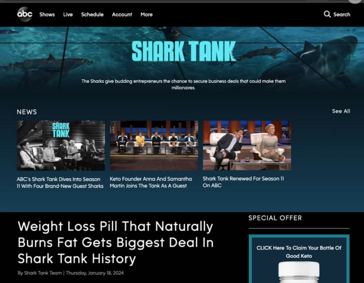 Sharks attack Google | Сетка — новая социальная сеть от hh.ru