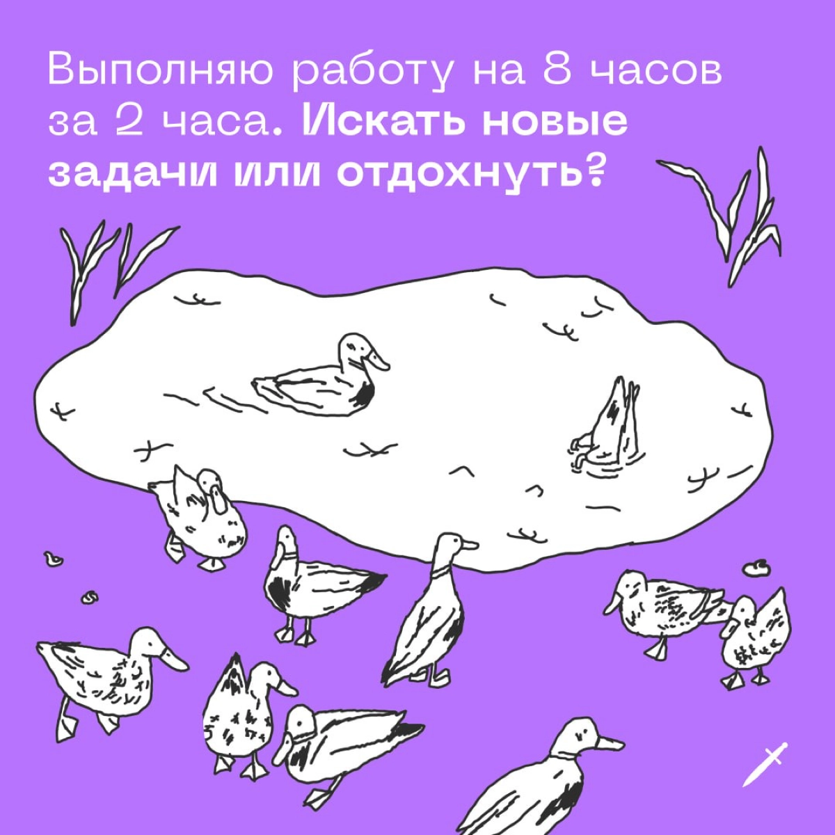 🗡 Казалось бы, при чём тут уточки?
https://le.kinzhal.media/th4oq | Сетка — новая социальная сеть от hh.ru