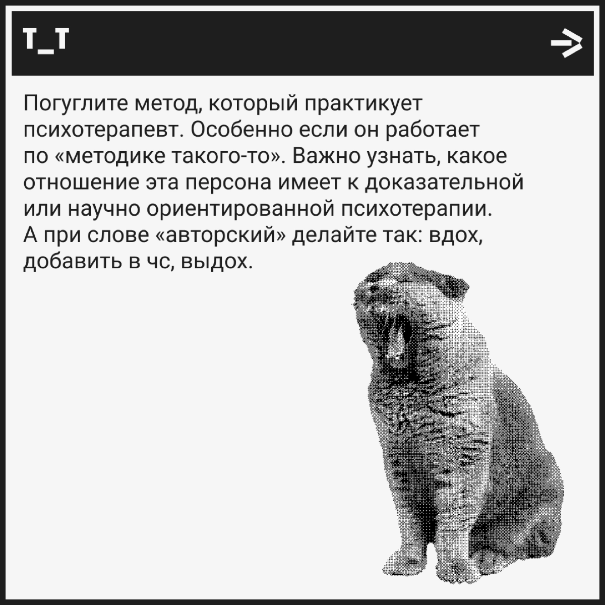 Как понять, что психолог и не друг, и не враг, а рэд флаг | Сетка — новая социальная сеть от hh.ru