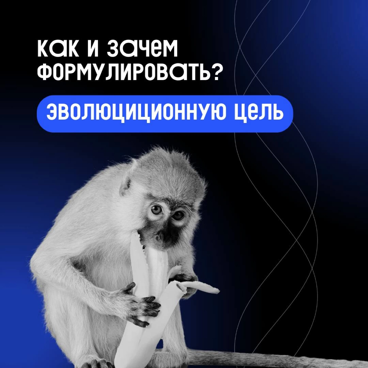 «А что мы вообще делаем?»
Начинаем знакомство с Клиентократией. Первый инструмент, который поможет задать нужный вектор компании и отладить процессы — эволюционная цель | Сетка — новая социальная сеть от hh.ru
