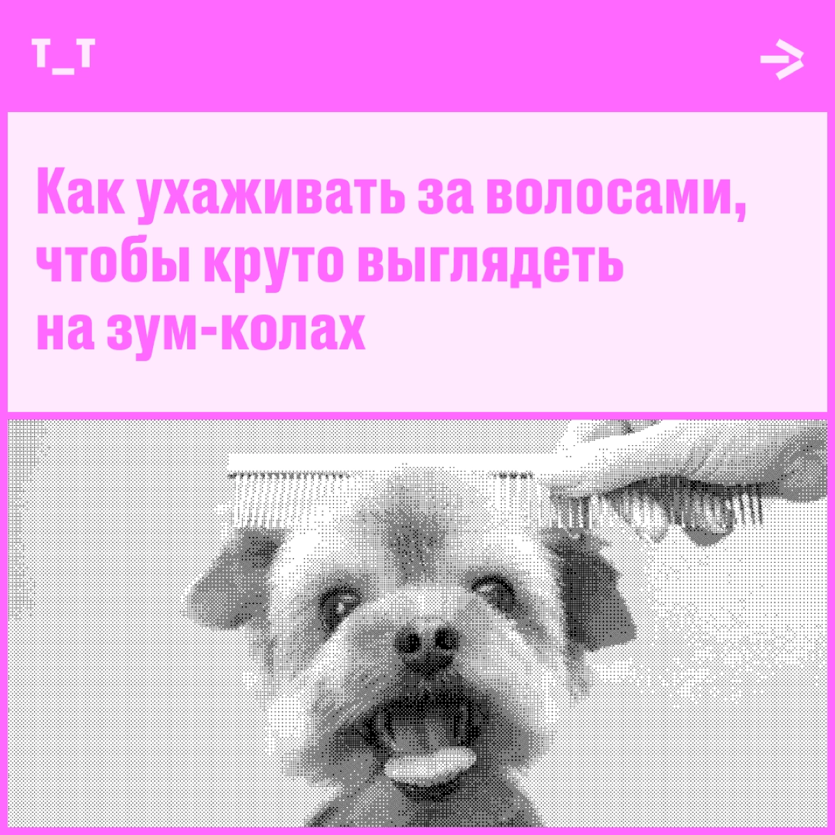 За волосами можно спрятать бессонные ночи и усталость от бесконечных правок. Спасибо удалёнке и зум-колам. А если волос нет, на помощь приходят обаяние и харизма, ну или котик — у кого что есть | Сетка — новая социальная сеть от hh.ru