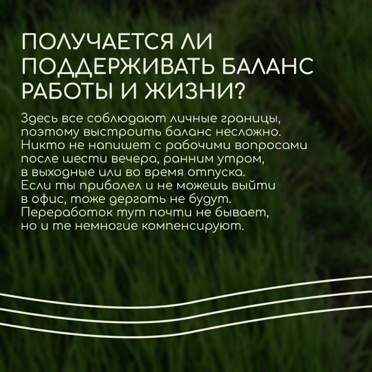 Саша Тарелкин переехал в Германию по работе — он делает 3D-иллюстрации и интерактивные инсталляции для арт-проектов, выставок и шоу | Сетка — новая социальная сеть от hh.ru