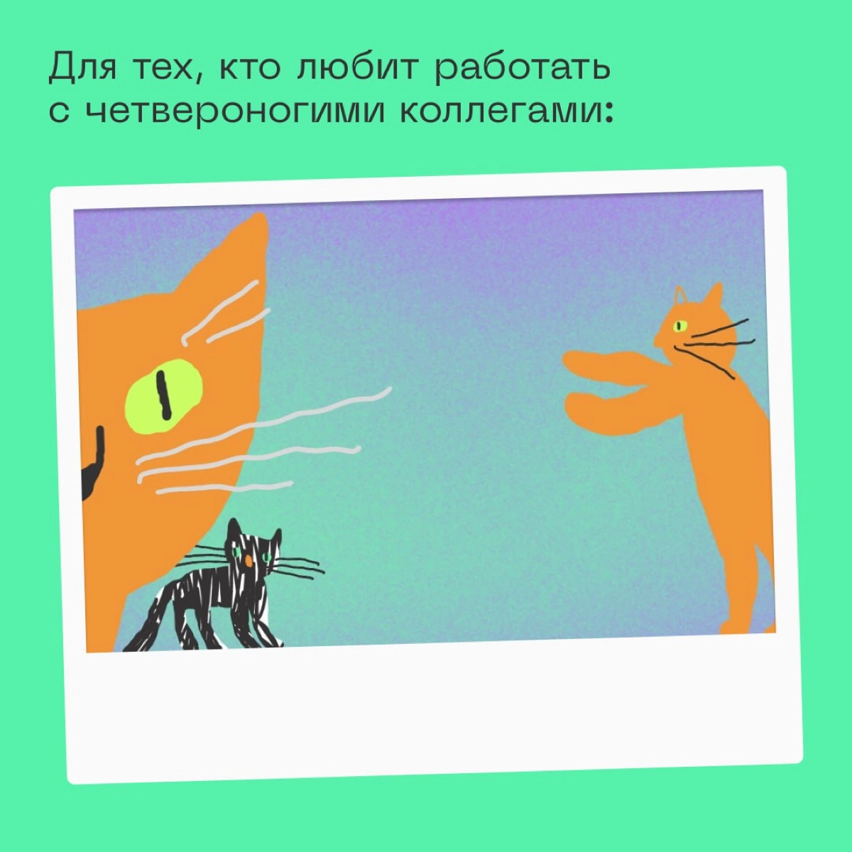 🗡 Если хотите стать главной звёздочкой на онлайн-звонках, скачивайте и устанавливайте фоны: https://disk.yandex.ru/d/DpQvAHktK87XWQ 
Коллеги точно оценят. | Сетка — новая социальная сеть от hh.ru