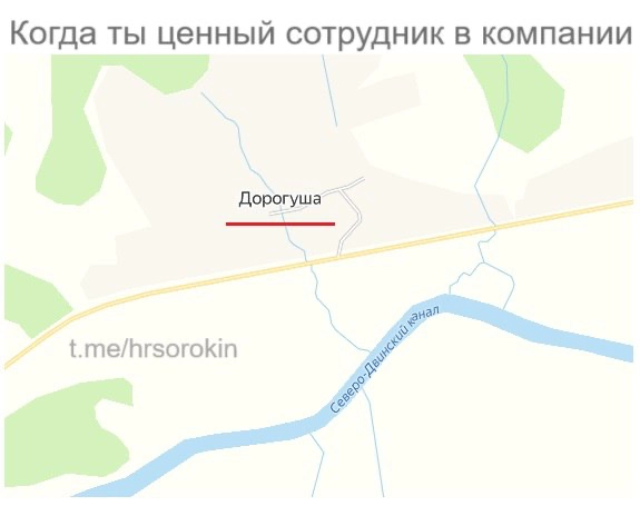 Сетка — новая социальная сеть от hh.ru