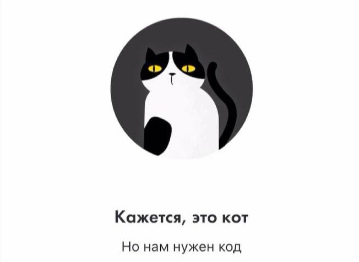 Кажется, это кот, но нам нужен код | Сетка — новая социальная сеть от hh.ru