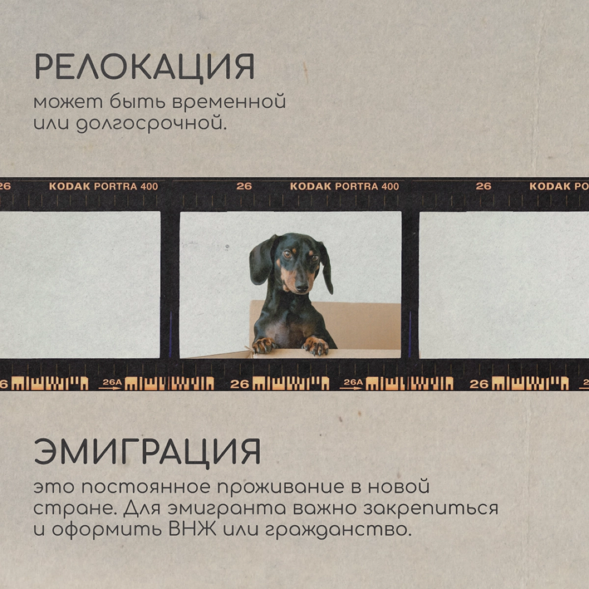 Вы релокант или эмигрант? Разбираемся в карточках, есть ли разница. Читайте и пишите в комментариях, что для вас релокация, а что — эмиграция.
P. S | Сетка — социальная сеть от hh.ru