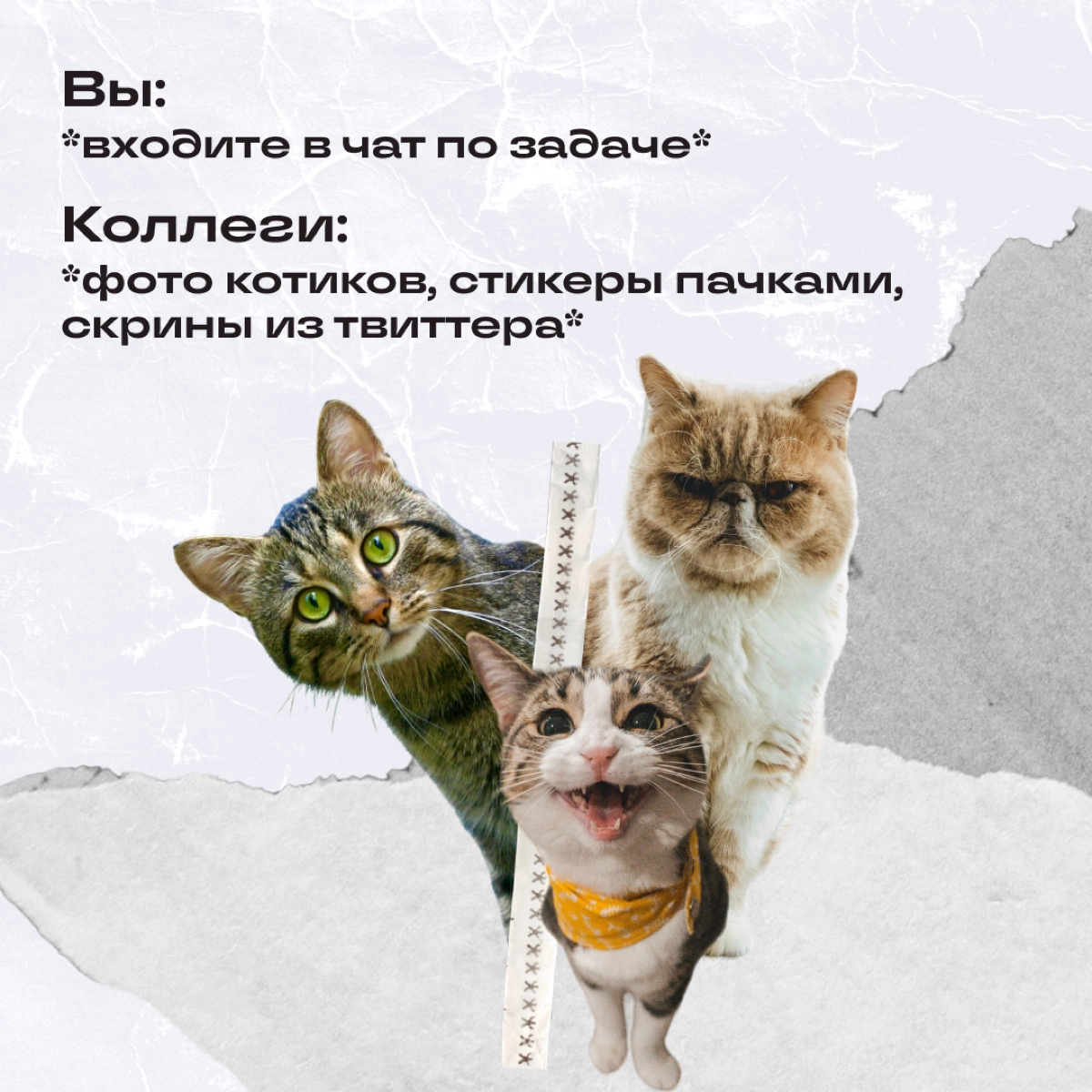 Собрали ситуации, которые случаются на запуске проекта. 
Про что вы уверенно скажете: «Да, было»? Пишите в комментариях! | Сетка — новая социальная сеть от hh.ru