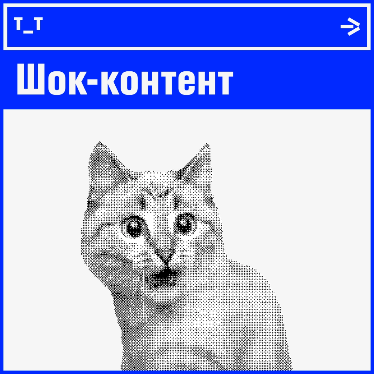 Главный враг диджитальщика — это… | Сетка — новая социальная сеть от hh.ru