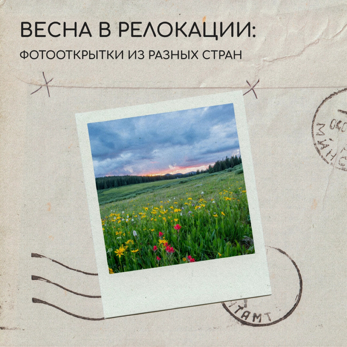 Весна в России наступает ни шатко ни валко: то солнце заставляет расстегнуть пальто, то снег заметает всё живое | Сетка — новая социальная сеть от hh.ru