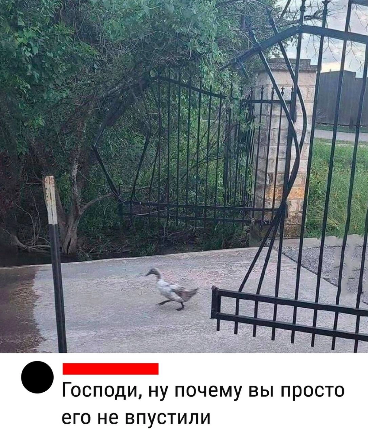 я начну, а вы продолжите | Сетка — новая социальная сеть от hh.ru