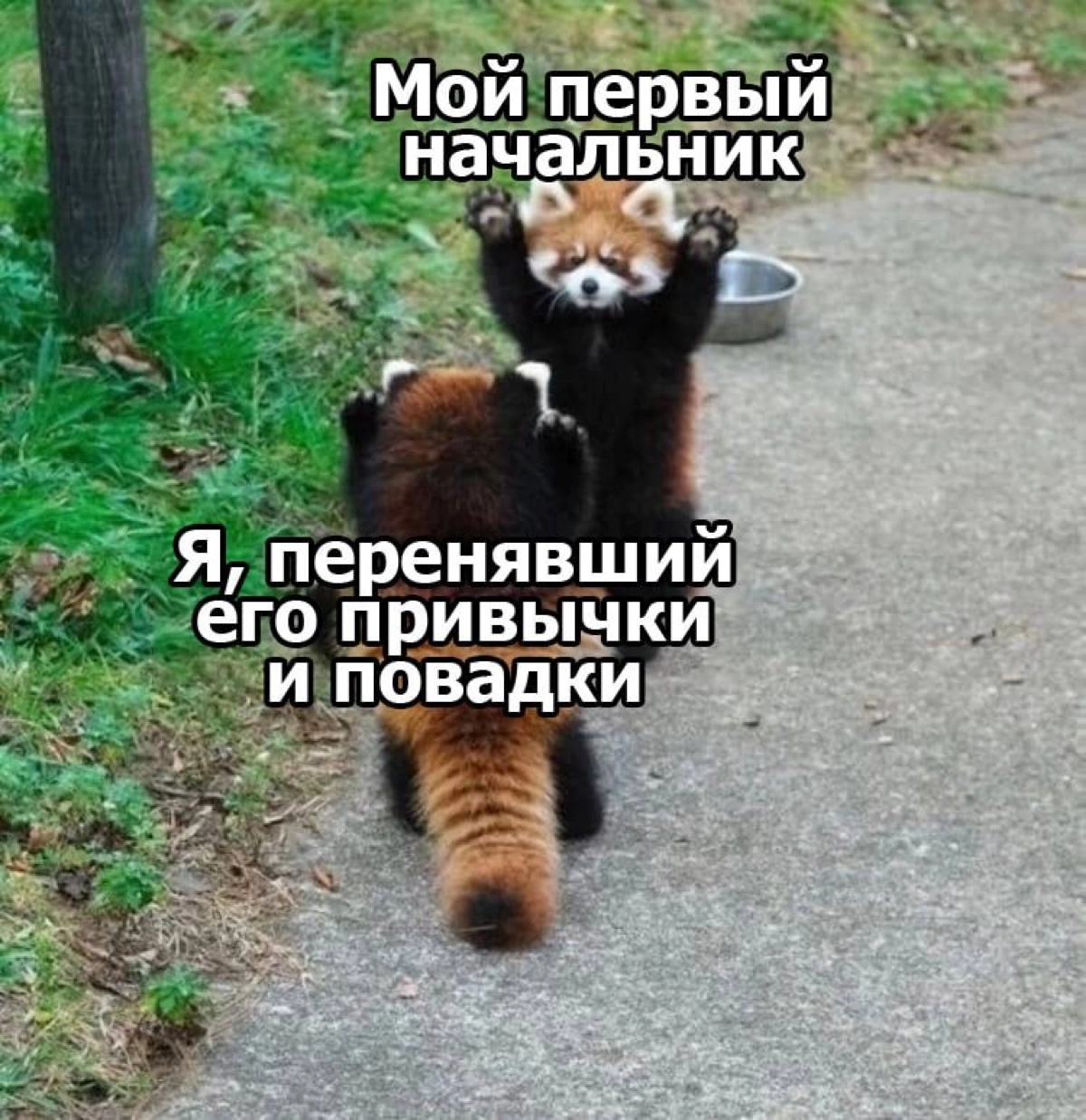 Сетка — новая социальная сеть от hh.ru