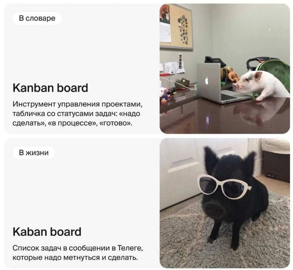 Мем 7 | Сетка — новая социальная сеть от hh.ru