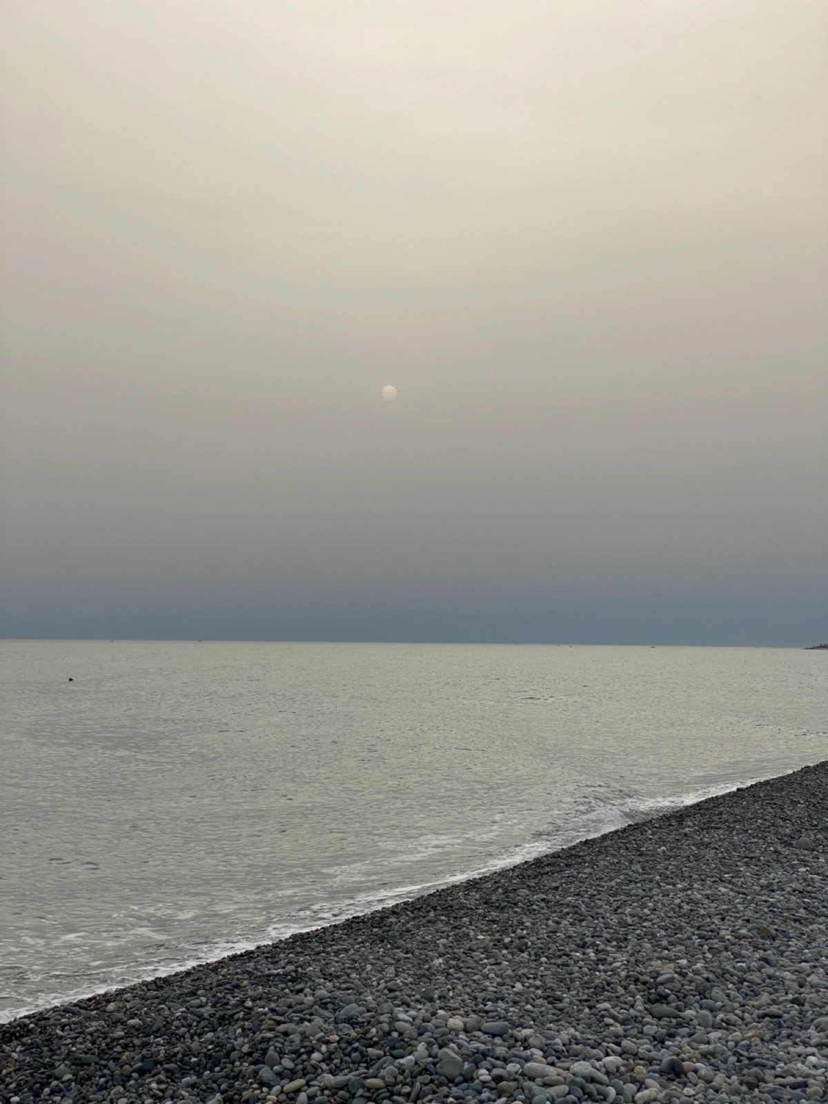 Вот такой вид наблюдали сегодня жители Сириуса 🌊☀️ | Сетка — новая социальная сеть от hh.ru