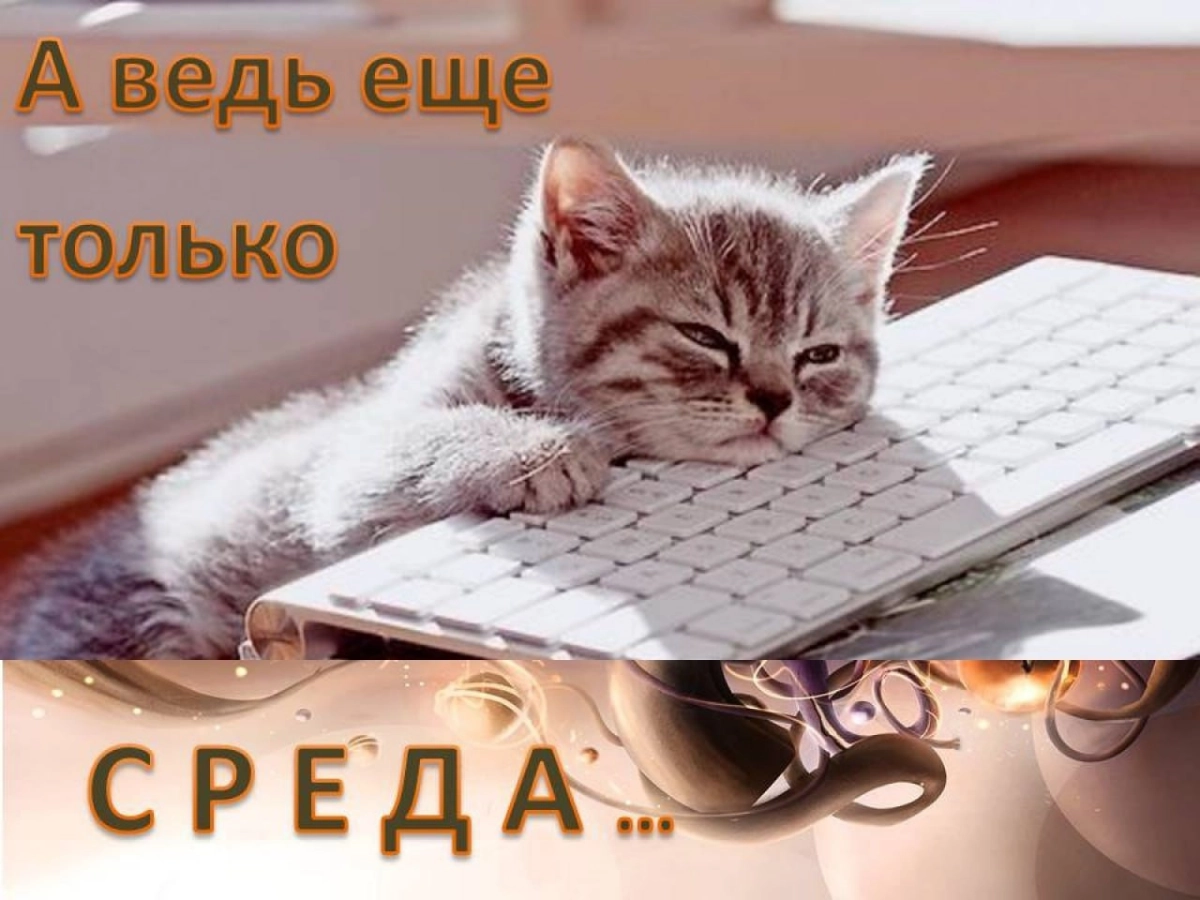 Иван по средам | Сетка — новая социальная сеть от hh.ru