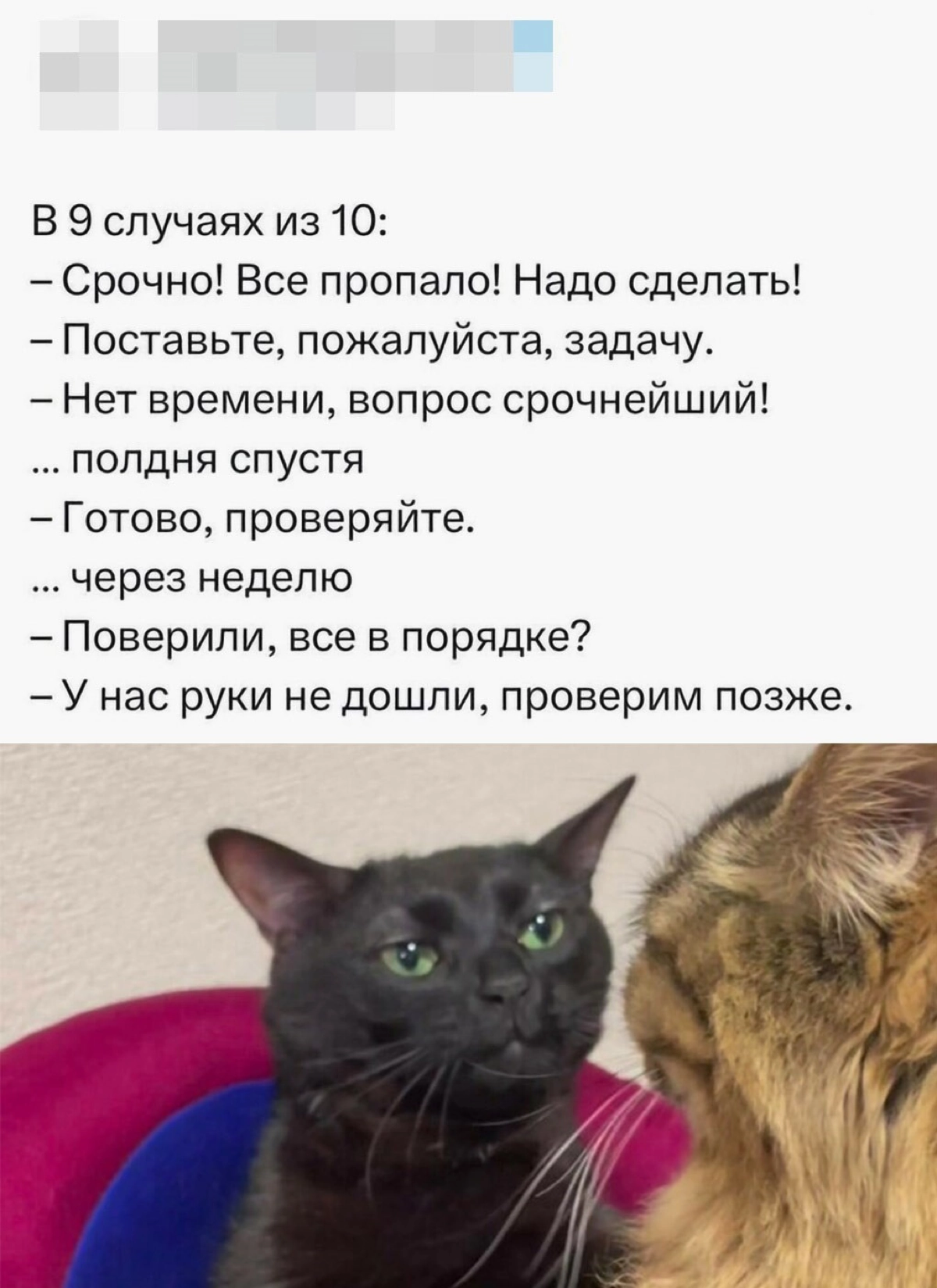 #пятничное #projectmanagement #productmanagement #career | Сетка — новая социальная сеть от hh.ru