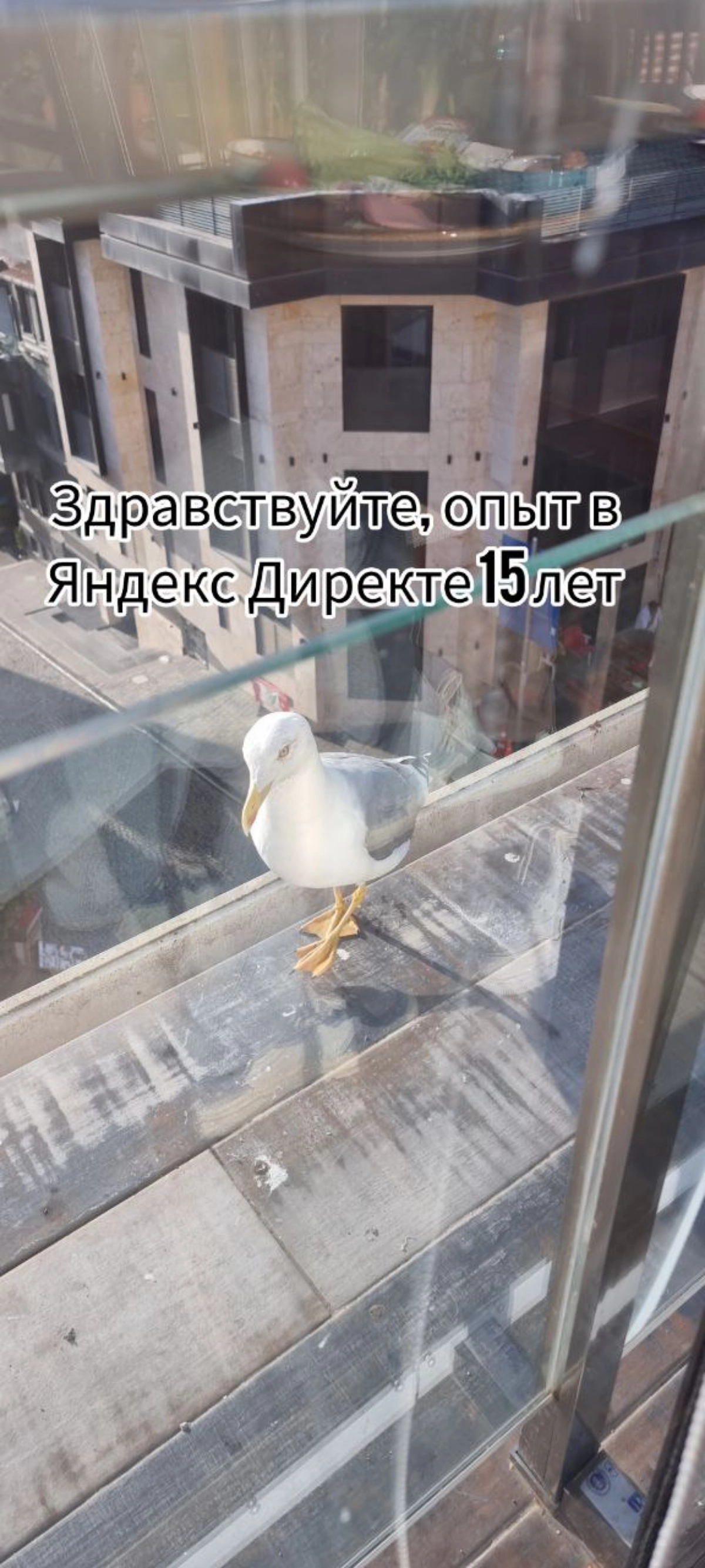 Пятница хоть и не настоящая на этой неделе,  но все же остаётся пятницей)
Мемчики на тему "открывается новый бизнес - просыпаются фрилансеры"😄 | Сетка — новая социальная сеть от hh.ru