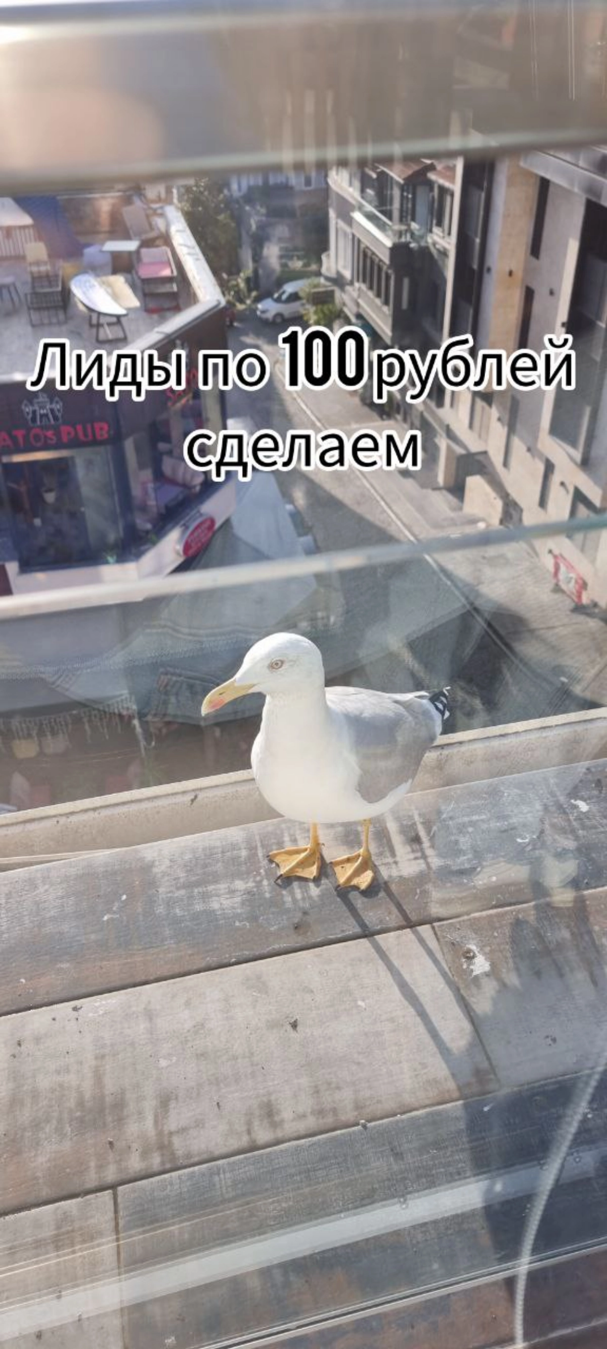 Пятница хоть и не настоящая на этой неделе,  но все же остаётся пятницей)
Мемчики на тему "открывается новый бизнес - просыпаются фрилансеры"😄 | Сетка — новая социальная сеть от hh.ru