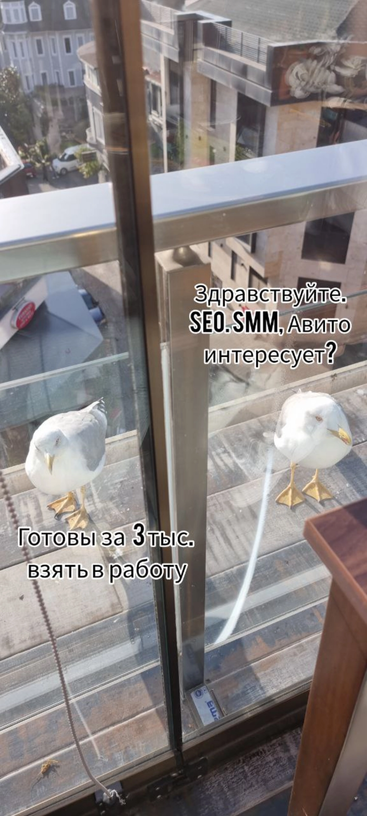 Пятница хоть и не настоящая на этой неделе,  но все же остаётся пятницей)
Мемчики на тему "открывается новый бизнес - просыпаются фрилансеры"😄 | Сетка — новая социальная сеть от hh.ru
