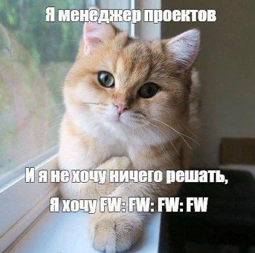 Сетка — новая социальная сеть от hh.ru
