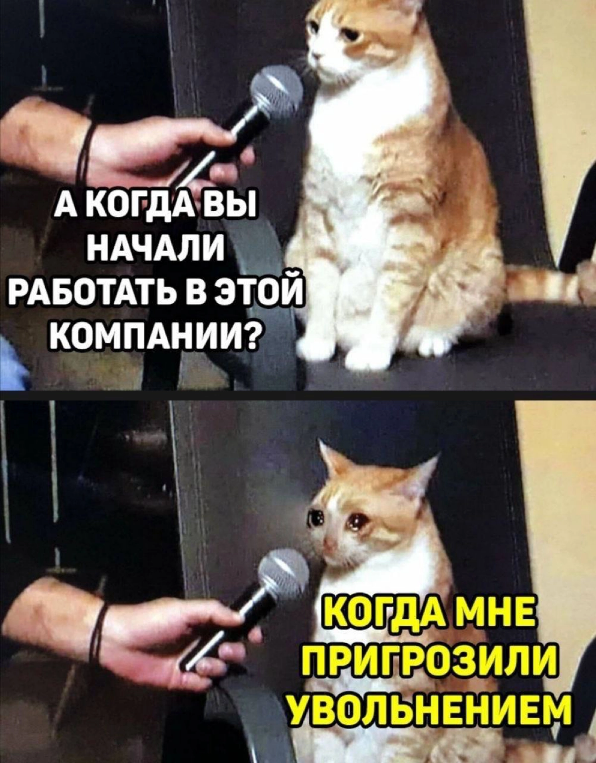 Сетка — новая социальная сеть от hh.ru
