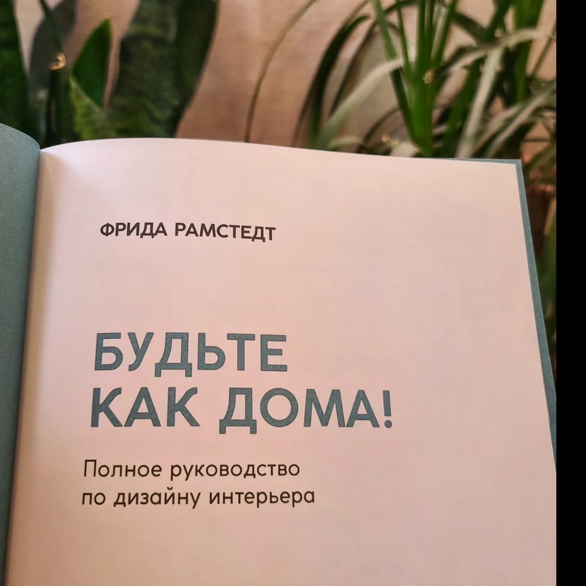 Что почитать ✨️ | Сетка — новая социальная сеть от hh.ru