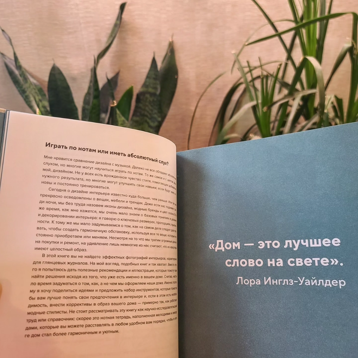 Что почитать ✨️ | Сетка — новая социальная сеть от hh.ru