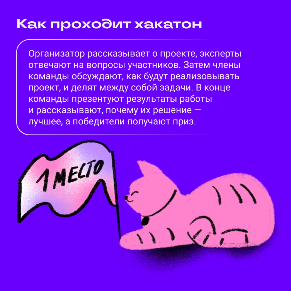 Если круг общения на удаленке резко ограничился котами, пора срочно выходить в люди. А заодно прокачать навыки и познакомиться с крутыми ребятами из мира диджитала. | Сетка — новая социальная сеть от hh.ru