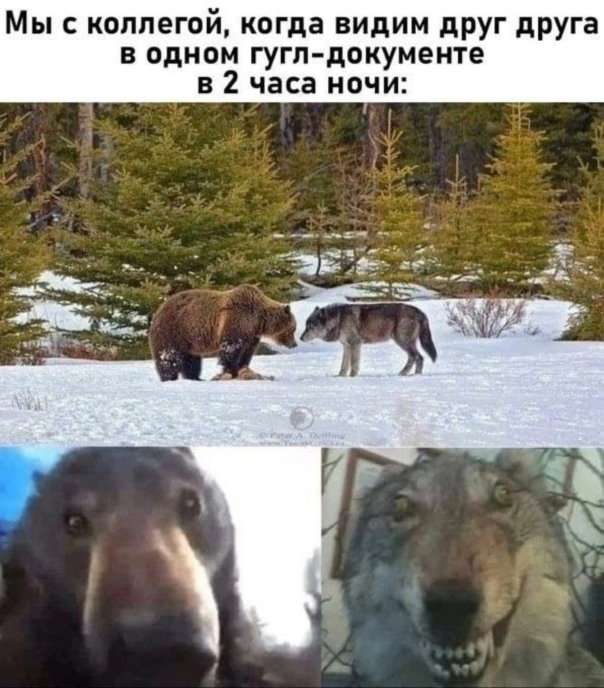 Сетка — новая социальная сеть от hh.ru