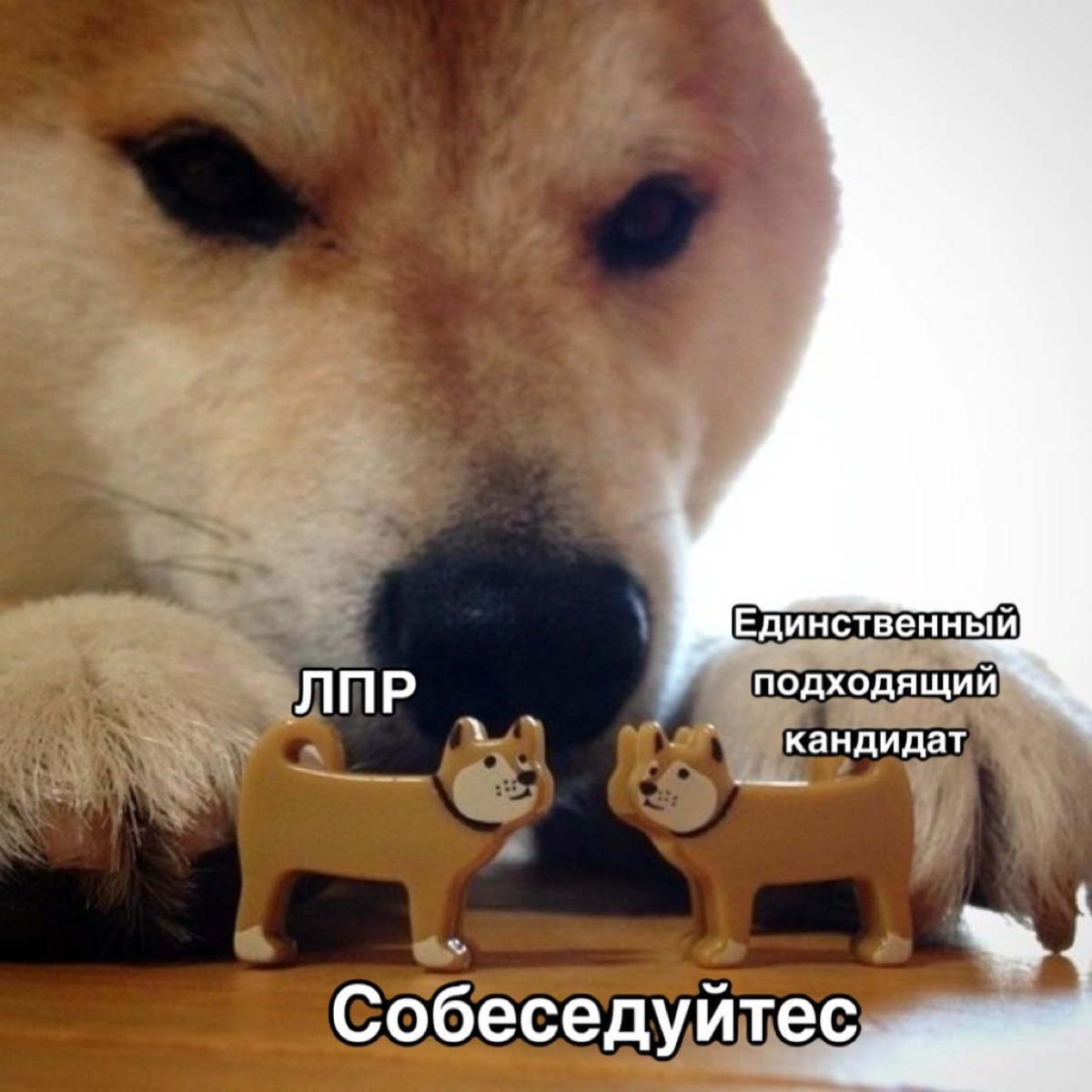 Сетка — новая социальная сеть от hh.ru