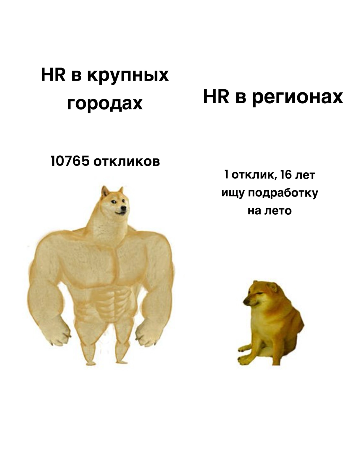 Сетка — новая социальная сеть от hh.ru
