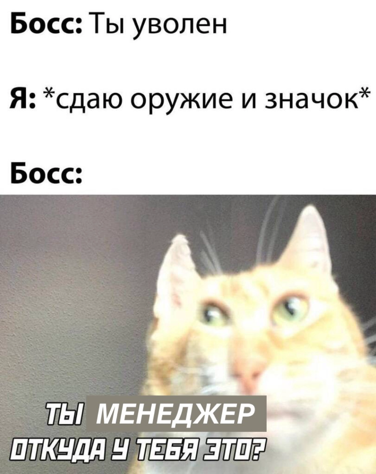 Мем 17 | Сетка — новая социальная сеть от hh.ru