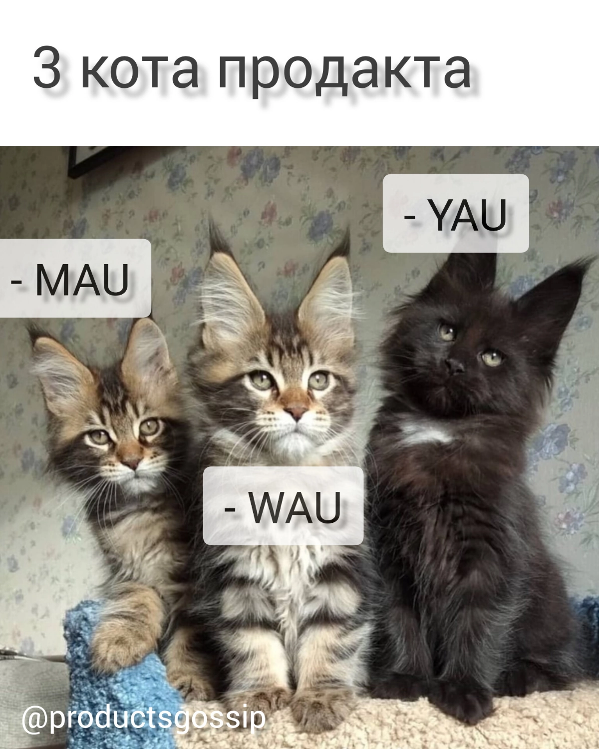 Котячее  настроениее ))
https://t.me/productsgossip | Сетка — новая социальная сеть от hh.ru