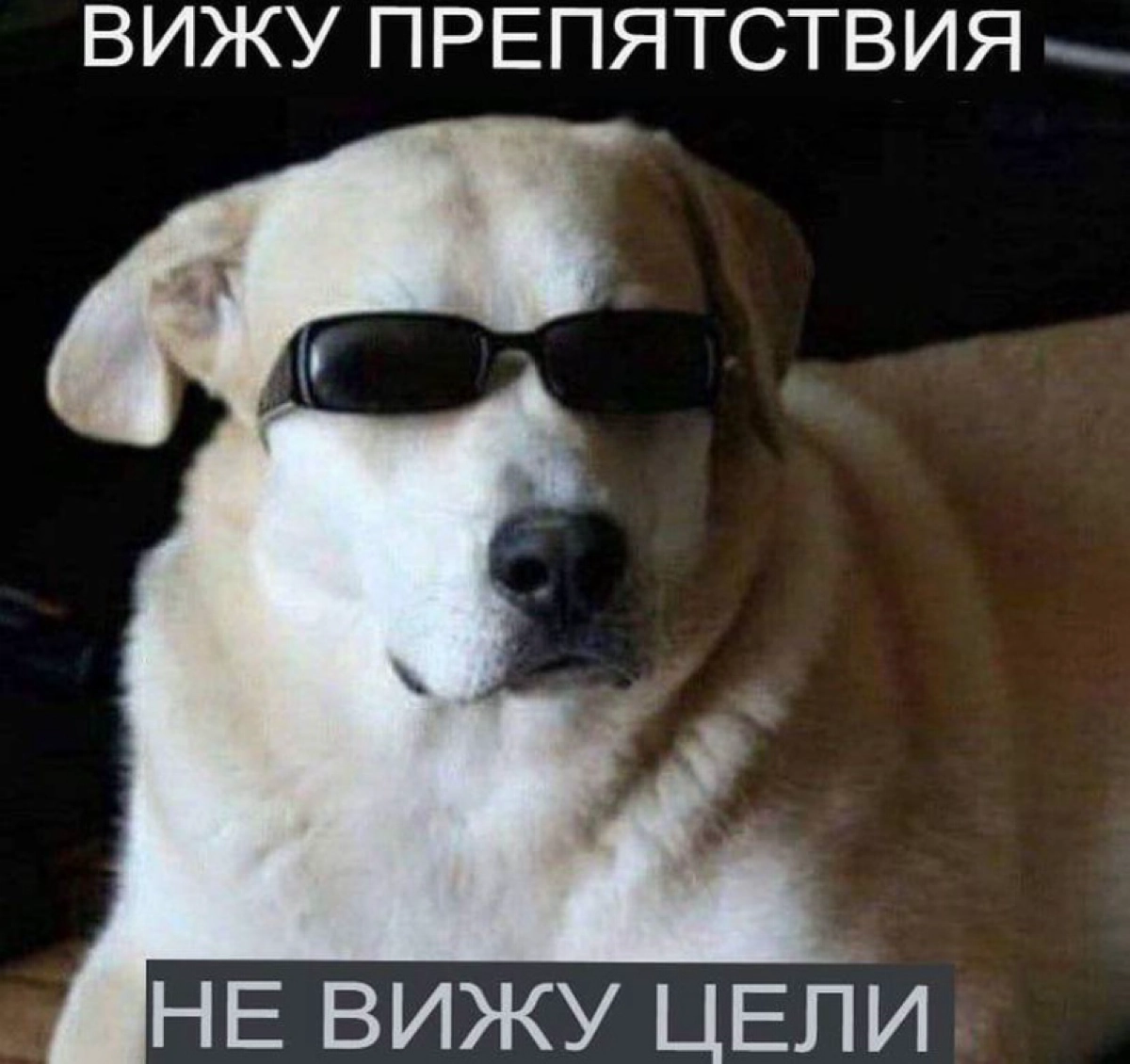 Мем 18 | Сетка — новая социальная сеть от hh.ru