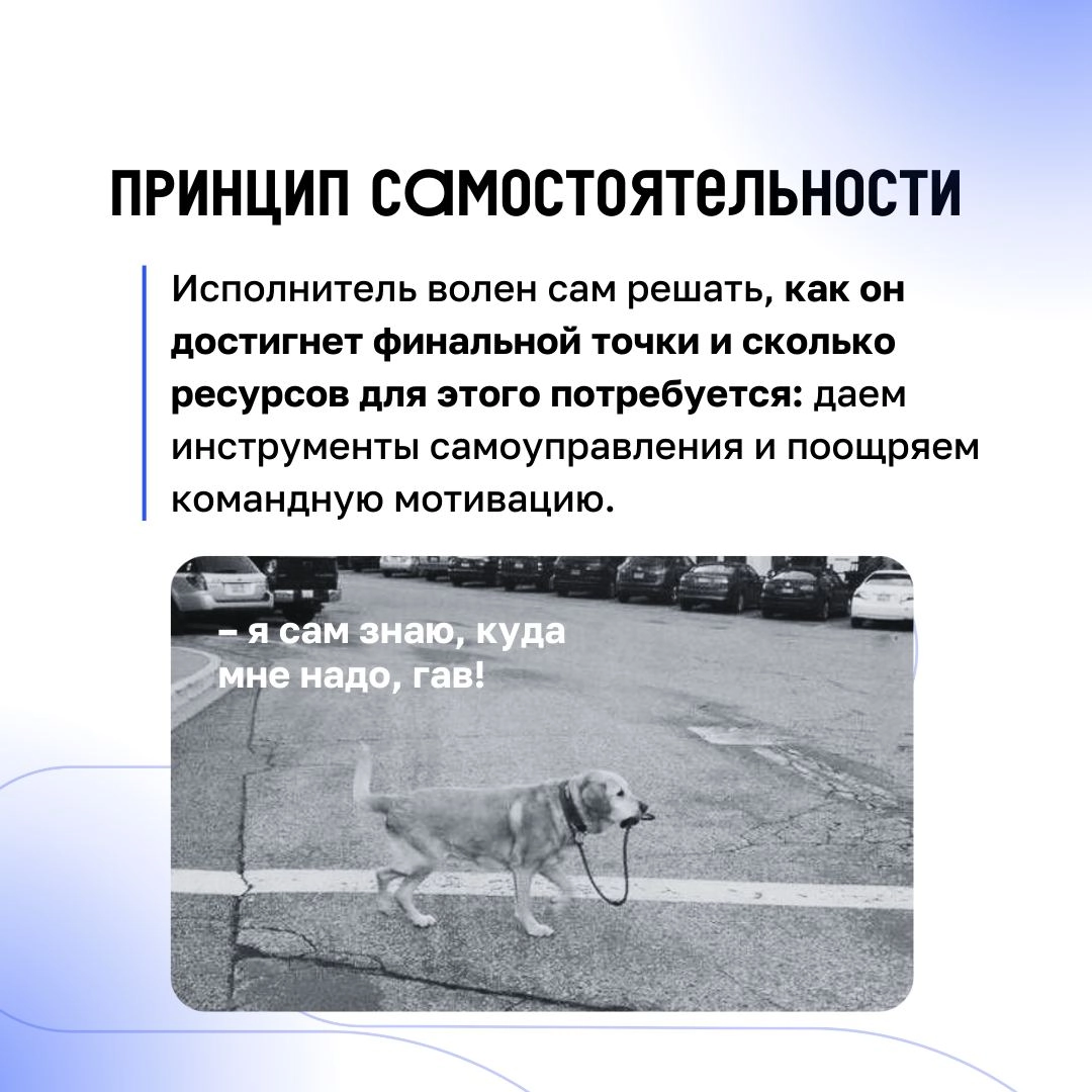 Галя, отмена!
Человеку, который только начал знакомиться с гибкой системой гибкого управления может начать казаться, что модель Beyond Taylor отменяет классический менеджмент | Сетка — новая социальная сеть от hh.ru