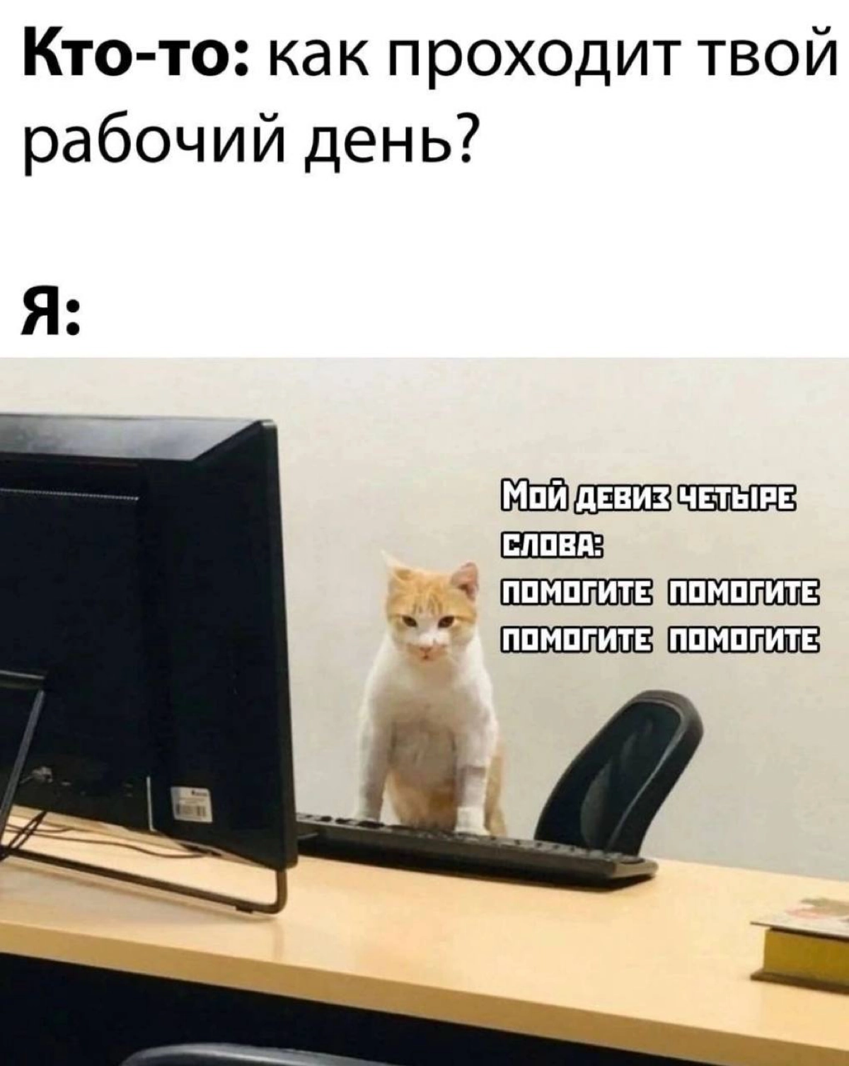 Сетка — новая социальная сеть от hh.ru