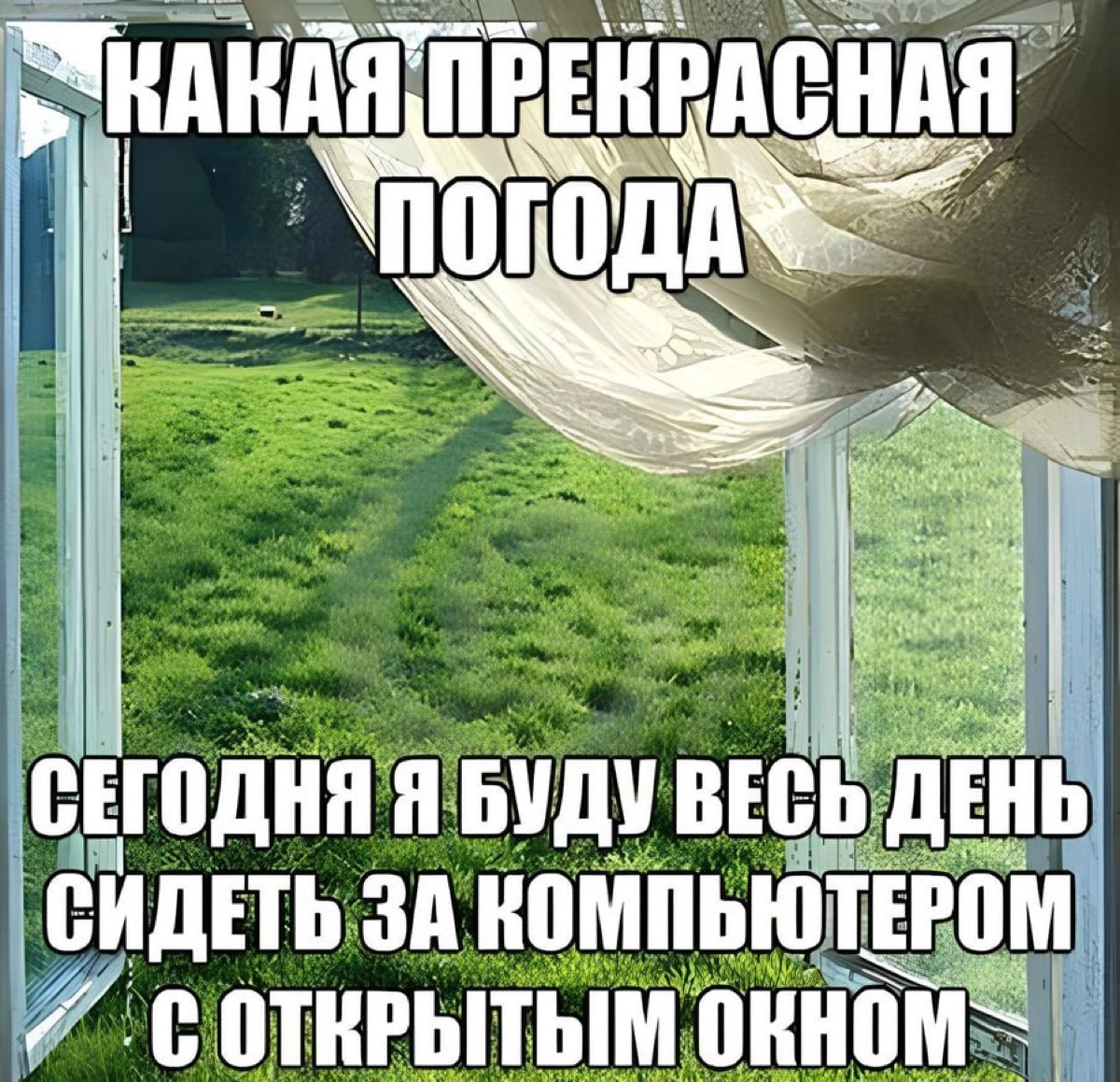 Пусть первым постом будет украденный жизненный мемчик | Сетка — новая социальная сеть от hh.ru
