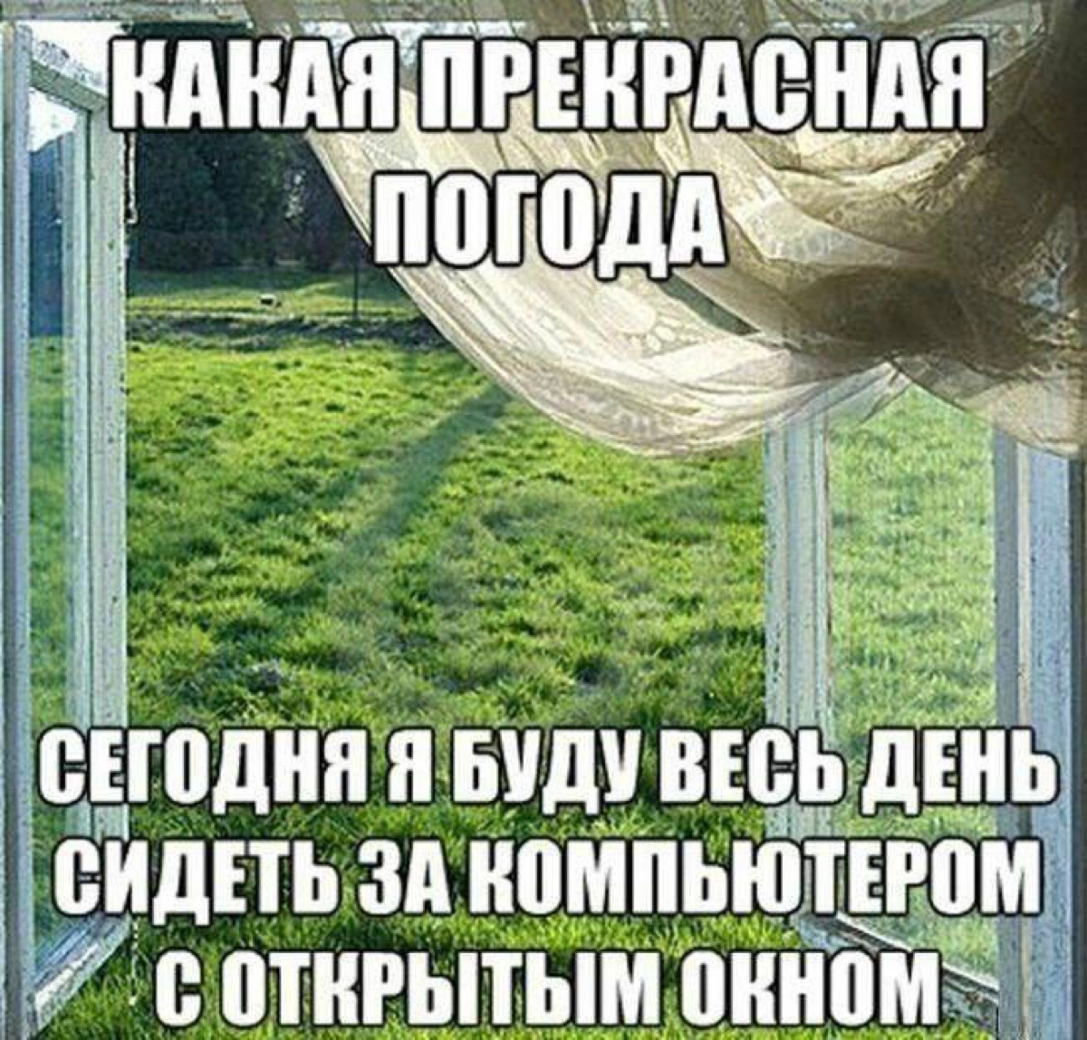 Сетка — новая социальная сеть от hh.ru