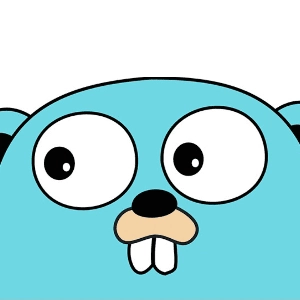 community avatar