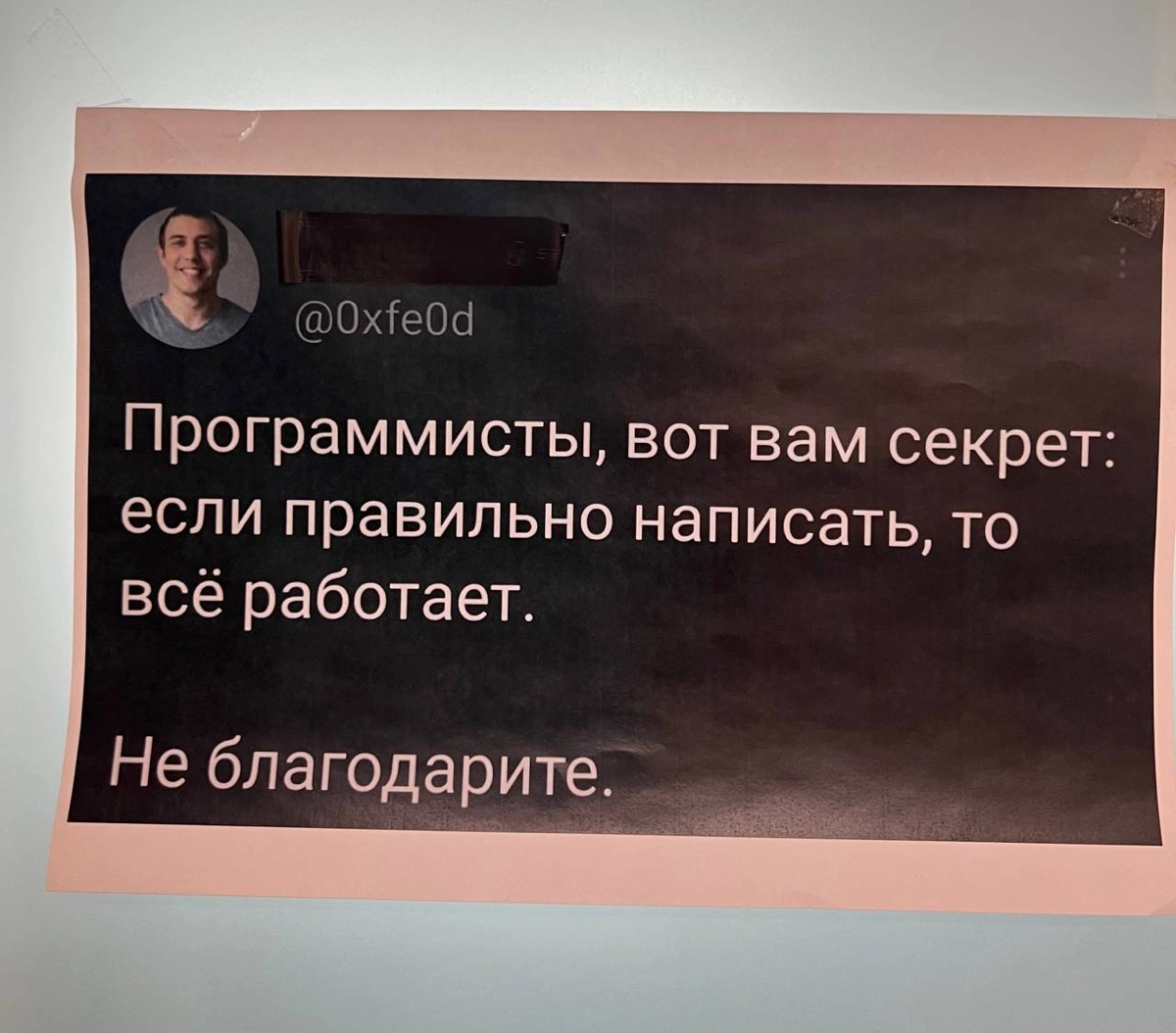 Мои беседы с разрабами би лайк🙂 | Сетка — новая социальная сеть от hh.ru