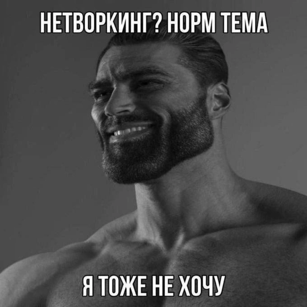 Сетка — новая социальная сеть от hh.ru