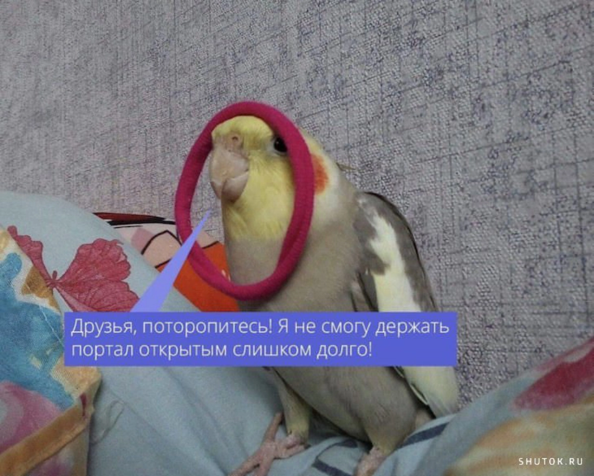 Когда стараешься не уйти с сотого мита подряд | Сетка — новая социальная сеть от hh.ru