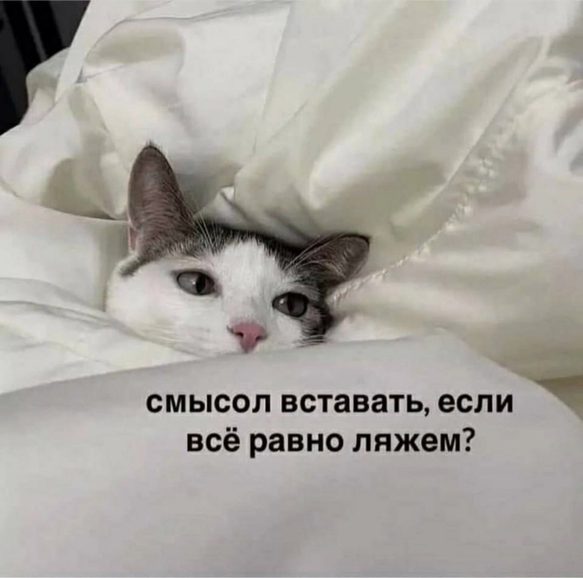 Утра, коллеги. Встали, потянулись, надели футболку и на созвон. | Сетка — новая социальная сеть от hh.ru